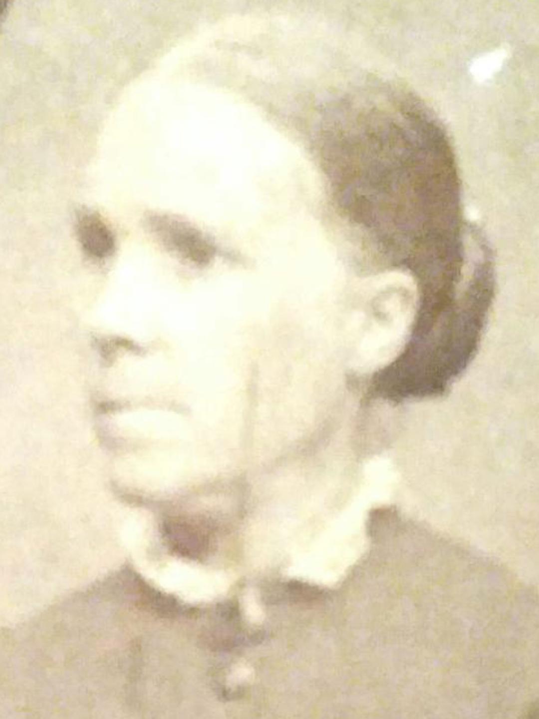 Bridget Rogerson (1832 - 1904) Profile
